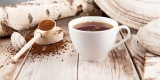 7 Best Mushroom Supplements of 2021: Guide and Brand Reviews