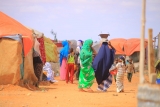 WHO launches appeal to respond to urgent health needs in the greater Horn of Africa