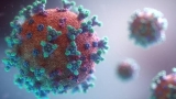 Health Minister to Review India’s COVID-19 Situation Amid Global Surge
