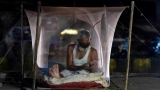 World Malaria Day: With Early Trials Proving High Efficacy of Oxford Vaccine, End of Malaria Appears Possible | The Weather Channel – Articles from The Weather Channel