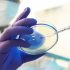 Is the pandemic close to endemic phase?