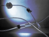Antitumor drug produces weight loss in mouse trial