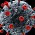 WA families lose safety nets as pandemic, inflation persist