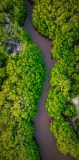 Should World Health Organisation air pollution limits be universal?