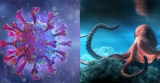 CDC confirms Kraken COVID-19 variant circulating in BC