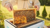 26 Types Of Honey Explained