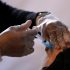 World Health Organization pushes for lab leak investigation