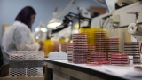 STDs including gonorrhea, syphilis rose during 1st year of pandemic: CDC