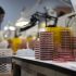 China is obsessed with disinfection against Covid. But is it causing more harm than good?