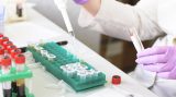 WHO makes new recommendations for Ebola treatments