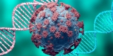 Statement on the twelfth meeting of the International Health Regulations (2005) Emergency Committee regarding the coronavirus disease (COVID-19) pandemic