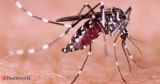 Leveraging learnings, technology for malaria elimination, Health News, ET HealthWorld