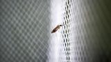 World Malaria Day 2022: Date, history, theme, and significance