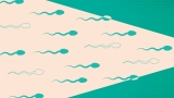Male birth control research is starting to make progress : Shots