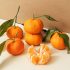Kids Born Premature Lag in Elementary School, But Most Catch Up Later – Consumer Health News