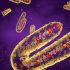 What is Long COVID and What Are the Symptoms? – NBC Chicago