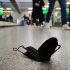 COVID news latest: More than 20% weekly drop in global coronavirus cases and deaths | UK News