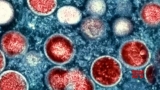 “Monkeypox” renamed “mpox” by World Health Organization (Video)