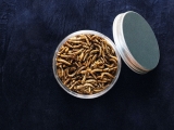 Scientists develop ‘tasty’ meat-like seasoning from mealworms