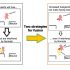 Are viral videos showing COVID-19 vaccine side effects accurate?