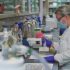 ‘Citizens’ Attitudes Under Covid19’, a cross-country panel survey of public opinion in 11 advanced democracies
