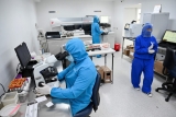 Boston University Defends Controversial Study on COVID Hybrid Strain With ’80 Percent’ Mortality Rate in Mice