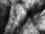 Can we reverse memory loss? What the science says
