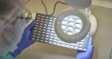 Covid News: 35 Companies Sign on to Produce Generic Versions of Pfizer’s Covid Pill