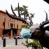 Multi-country monkeypox outbreak in non-endemic countries