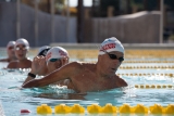 A Masters Coach's Ode to COVID-19 – U.S. Masters Swimming