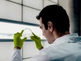 How a bacterial protein may impact insulin