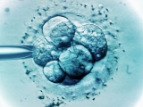Scientists say they have created ’embryos’ without sperm or eggs