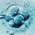 CDC report shows racial disparities in monkeypox cases