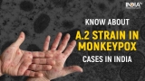 Monkeypox: A.2 strain found in Indian patients. Know the symptoms and treatment