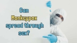 Can Monkeypox spread through sex? Experts answer who are at high risk for transmission