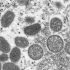 Kitsap County’s cases up slightly while state cases fall