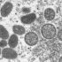 Arizona weekly COVID-19 update adds 20,198 cases, 57 deaths