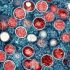 CAPT Anna Satcher Johnson: Reflections on CDC’s IETA Program | Covid-19