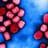 NY COVID case count down but hospitalizations up 24% over past month