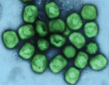 Monkeypox cases include women and children