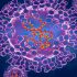 CDC Recommends Mask Mandates For Nearly One-Quarter Of California Counties As Summer Covid Surge Builds