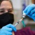 Three Subvariants Causing 70% of New England COVID Infections – NBC Boston