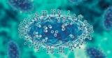Canada issues travel notice as monkeypox continues to spread around the world – National