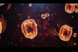 The Medical Minute: Monkeypox cases on the rise