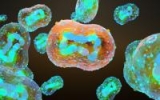 Monkeypox reported in Illinois daycare worker, US cases top 7,000