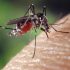 Ontario reports 62 new COVID-19 deaths this week, opens vaccines to kids under 5