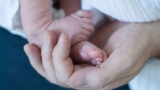 1st increase in births reported in 7 years, CDC finds