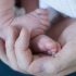 Belgium becomes first country to make quarantine compulsory for patients with Monkeypox