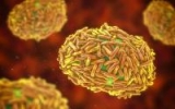 UK reports 194 more monkeypox cases as US total hits 49