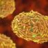 Yates County reported 11 additional COVID-19 cases this week this week